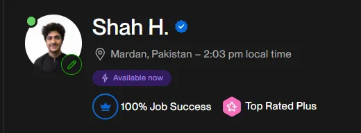 Shah H. — Top Rated Plus, 100% Job Success on Upwork